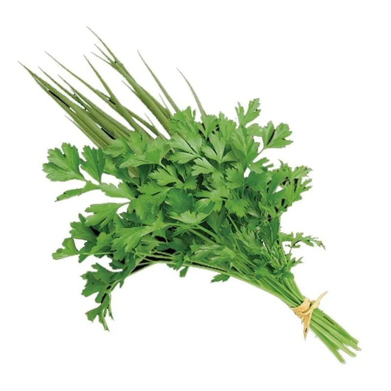 Cheiro Verde Green Life Higienizada Bandeja 100g