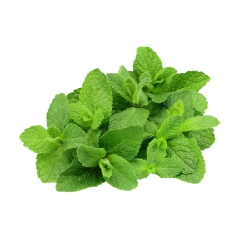 Hortela Dterra Un