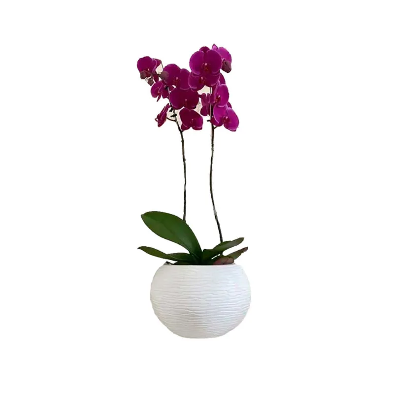 Maceta Florenca Sisal 17x19 Blanco Floridis