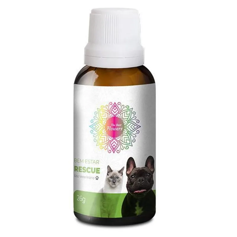Floral Pet Bem Estar Rescue - The Best Flowers