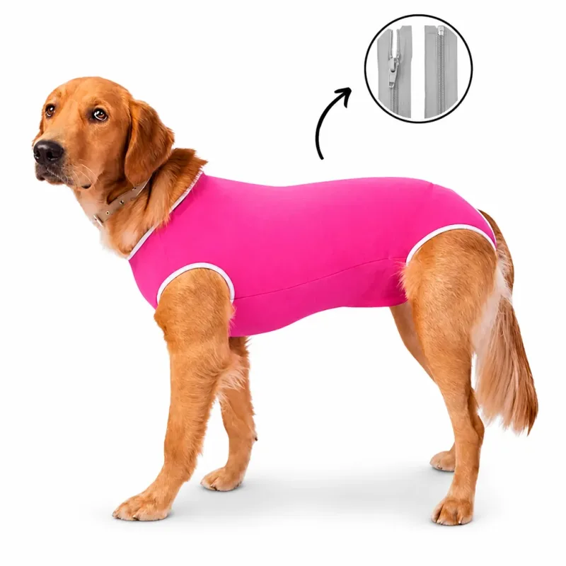 Roupa Cirúrgica para Cães Nº 15 Pós-Operatório Confortável Proteção para Castração e Recuperação Pet