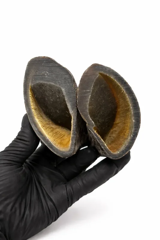 Casco Bovino para Cachorro 2 Unidades Petisco Natural Mordedor Osso de Roer Desidratado Cães