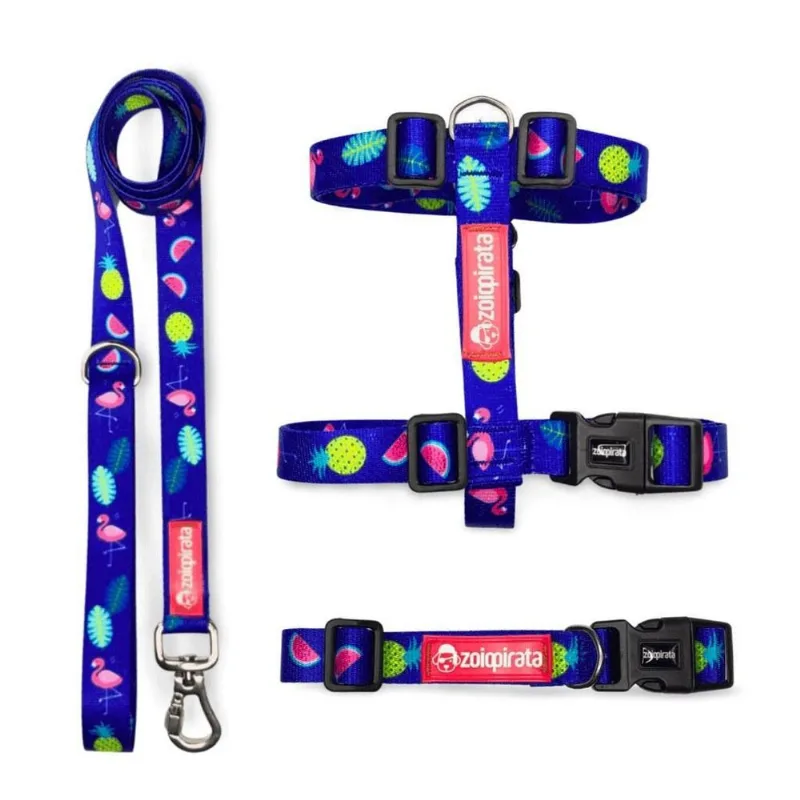 Kit Peitoral H Antipuxão Cachorros + Coleira + Guia Flamingo