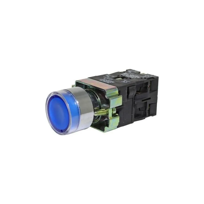 Botão De Comando Iluminado Azul 22mm 24v Ip40