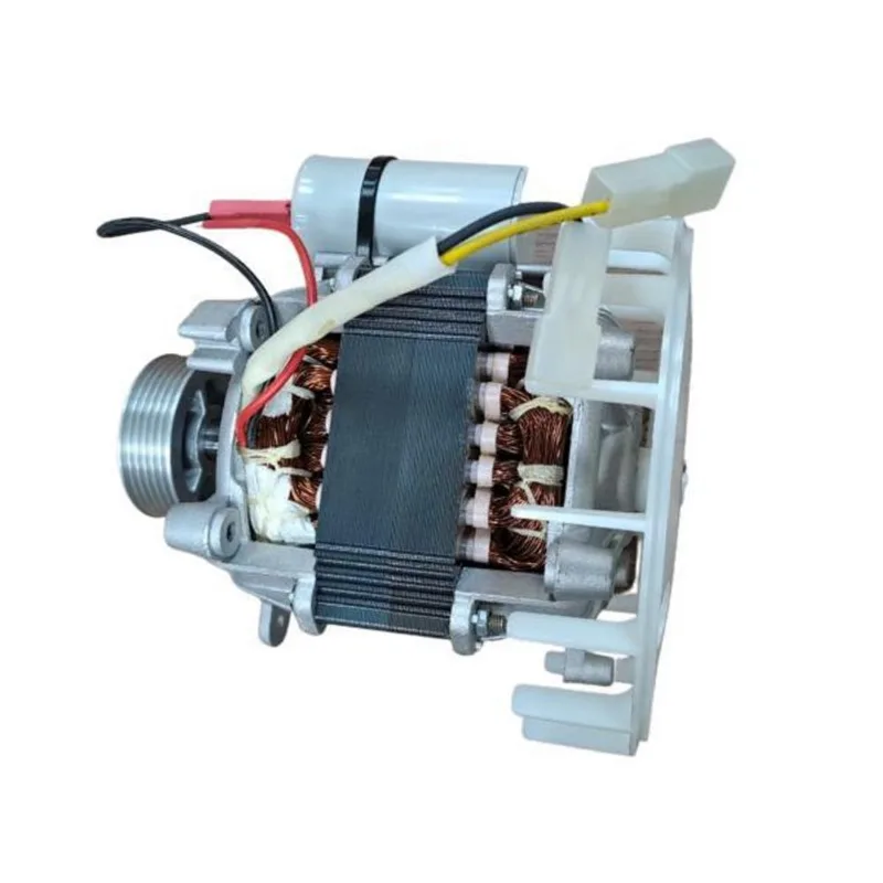 Motor Tanquinho Lavadora Mueller Plus Cmp 110V Original