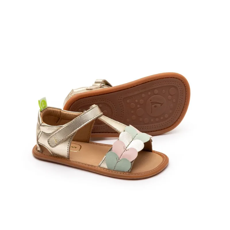 Lovely Dourado intenso/ verde claro/ rosa 20