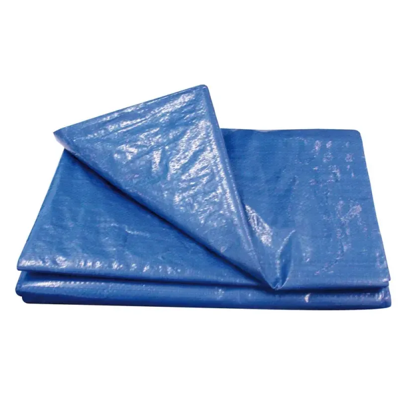 LONA ENCERADO POLIETILENO 200 MICRAS WORKER Lona Encerada de Polietileno 200 Micras 6m x 4m Azul Worker