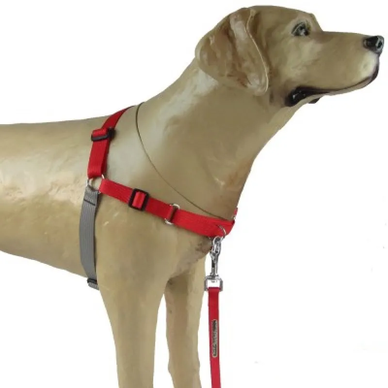 Peitoral modelo Easy Walk Anti PuxãoK9 Spirit Verm Tam gg