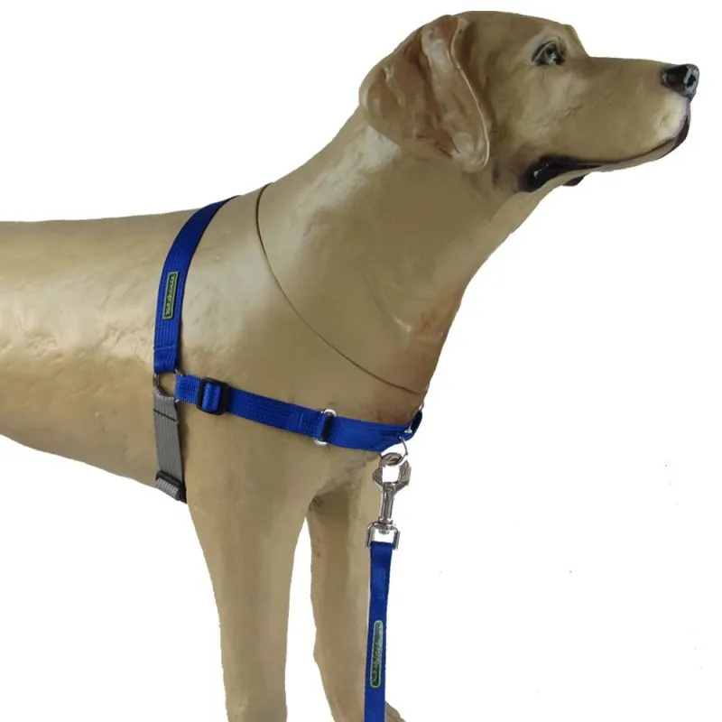 Peitoral Easy Walk Anti Puxão-K9 Spirit Azul Tam gg