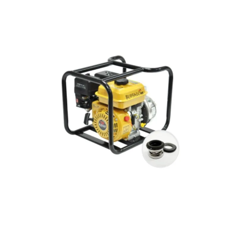 Motobomba Bfg 2'' Inox Partida Manual Buffalo