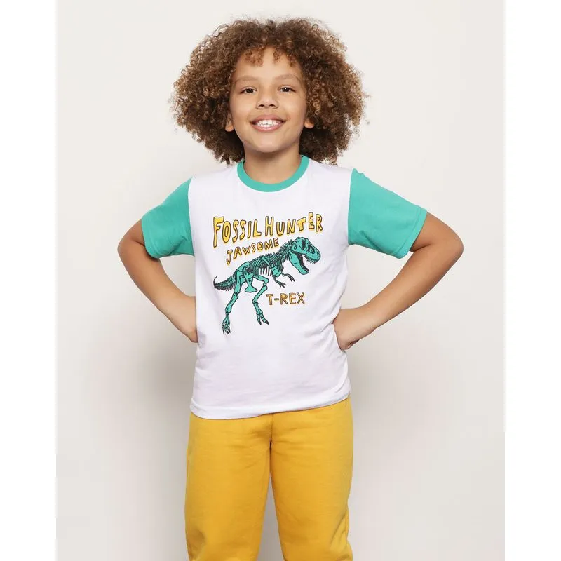 Camiseta Infantil Manga Curta Estampa Dinossauro Branco 8