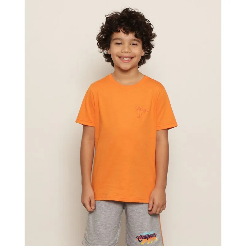 Camiseta Infantil Menino Básica Lisa Manga Curta Gola Careca Laranja 8