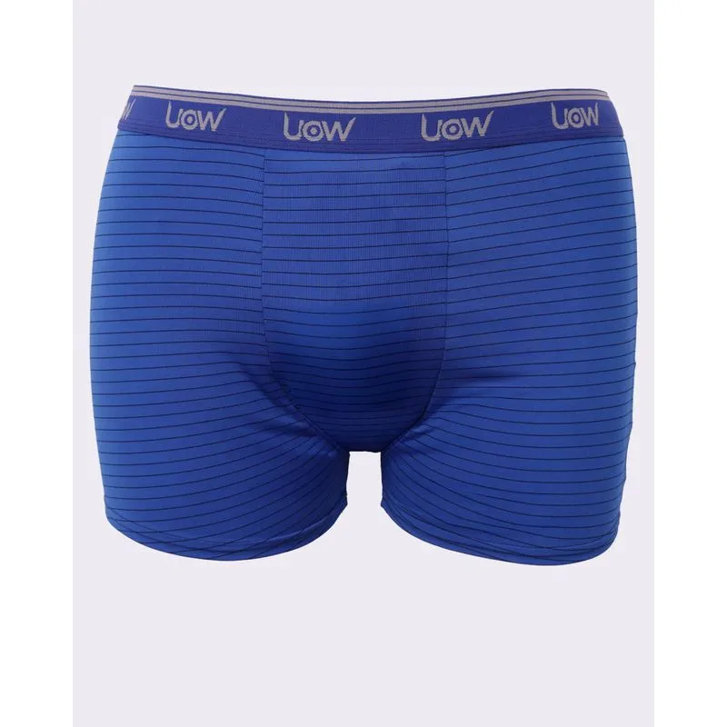 Cueca Plus Size Masculina Boxer Microfibra Listrada Azul G2