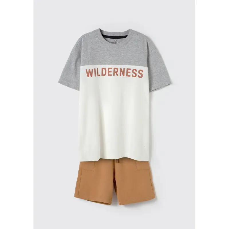 Conjunto Curto Infantil Menino Com Estampa - Cinza 012