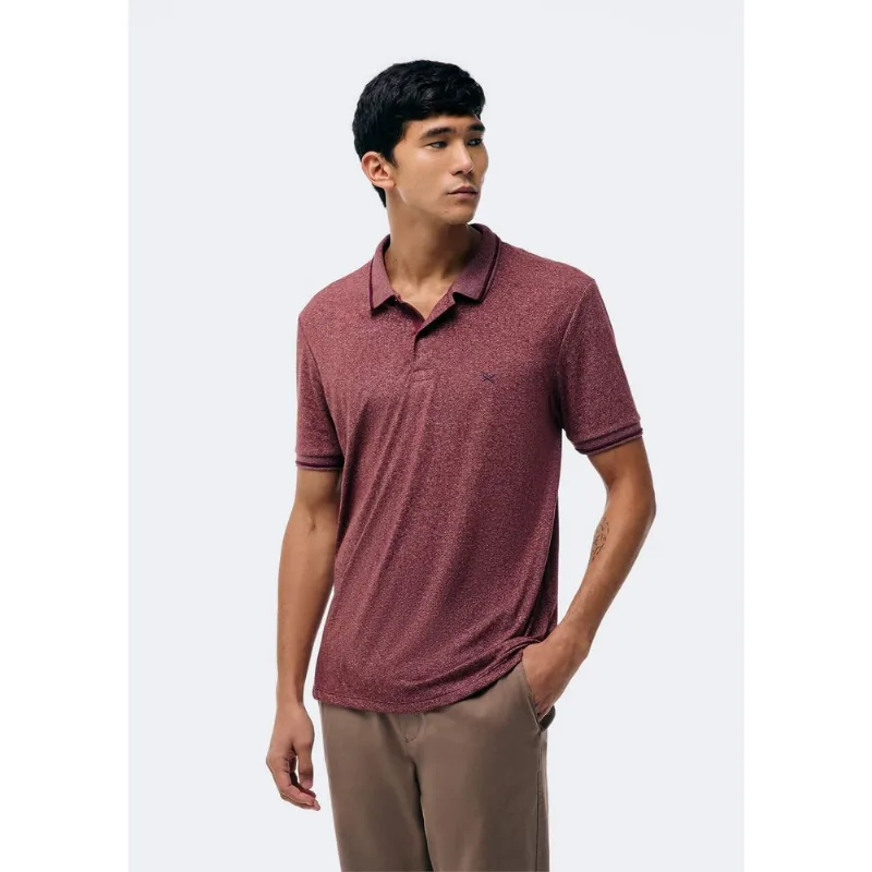 Camisa Polo Básica Masculina Em Malha Texturizada - Vinho XXG