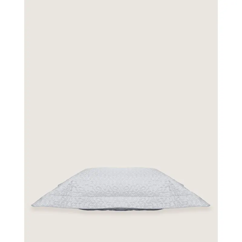 Porta Travesseiro Avulso 50cmX 70cm Andreza Estampado Azul UN