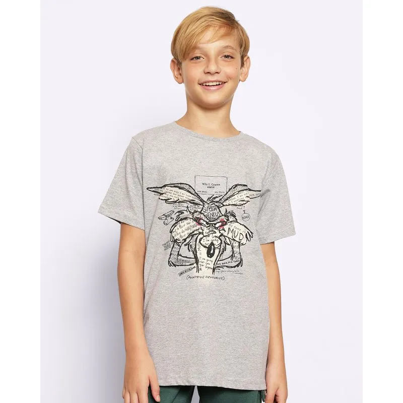Camiseta Juvenil Looney Tunes Coiote Manga Curta Cinza 12