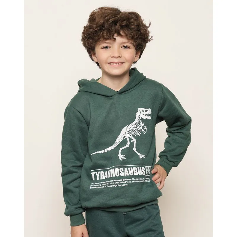 Blusão Moletom Infantil Peluciado Estampa Dinossauro Verde 16