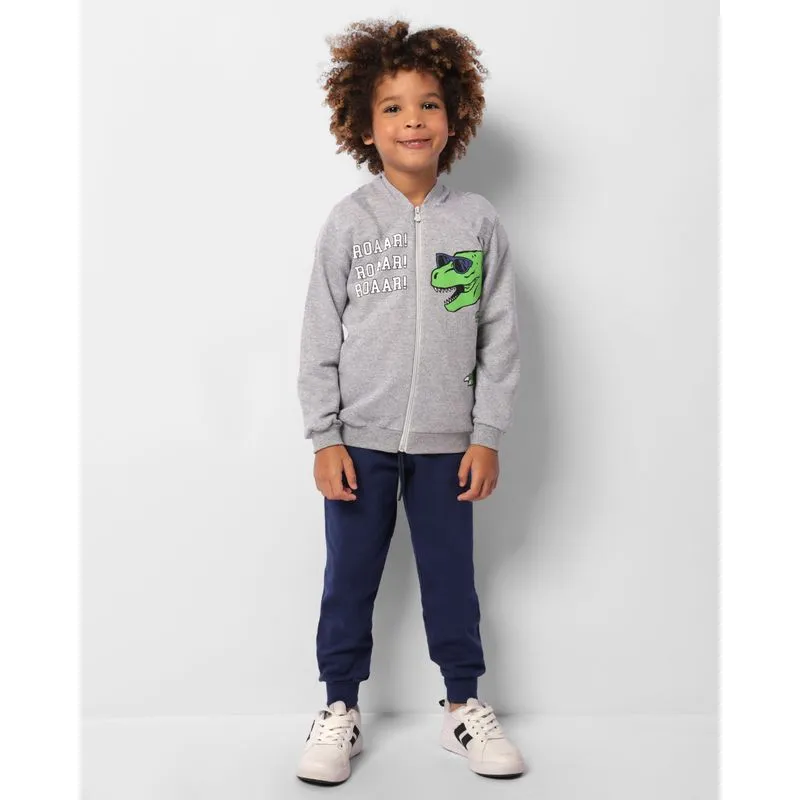 Conjunto Moletom Infantil Peluciado Estampa Dinossauro Cinza 4