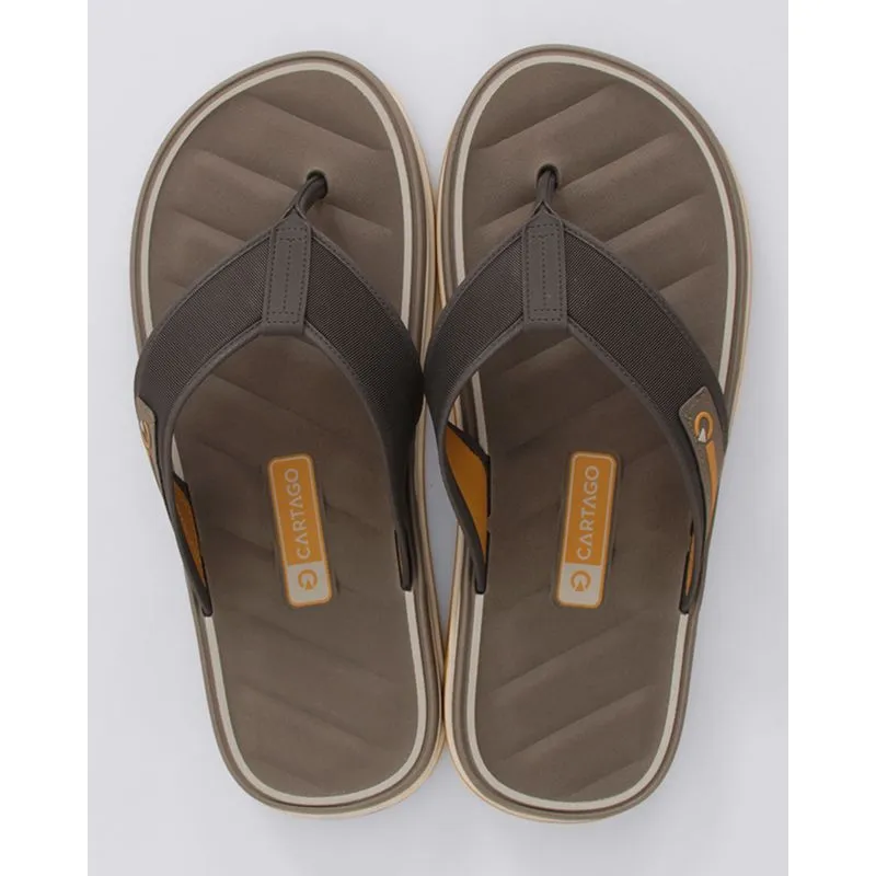 Chinelo Masculino Cartago Málaga Sport Cinza 42