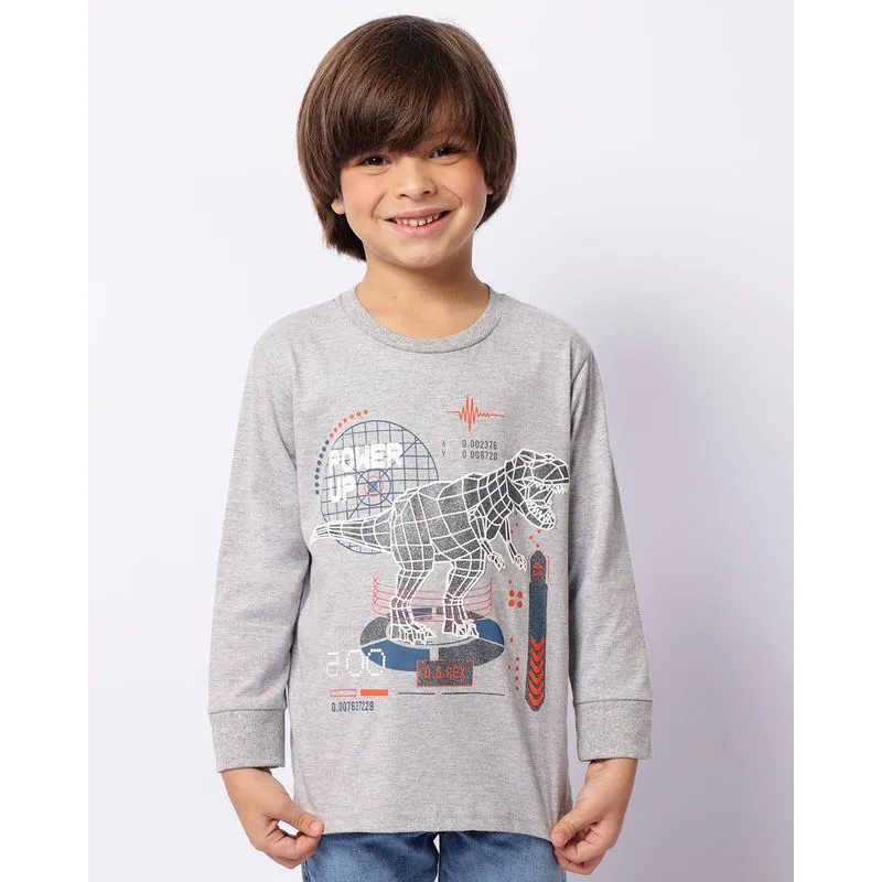 Camiseta Infantil Estampa Dinossauro Manga Longa Cinza 8