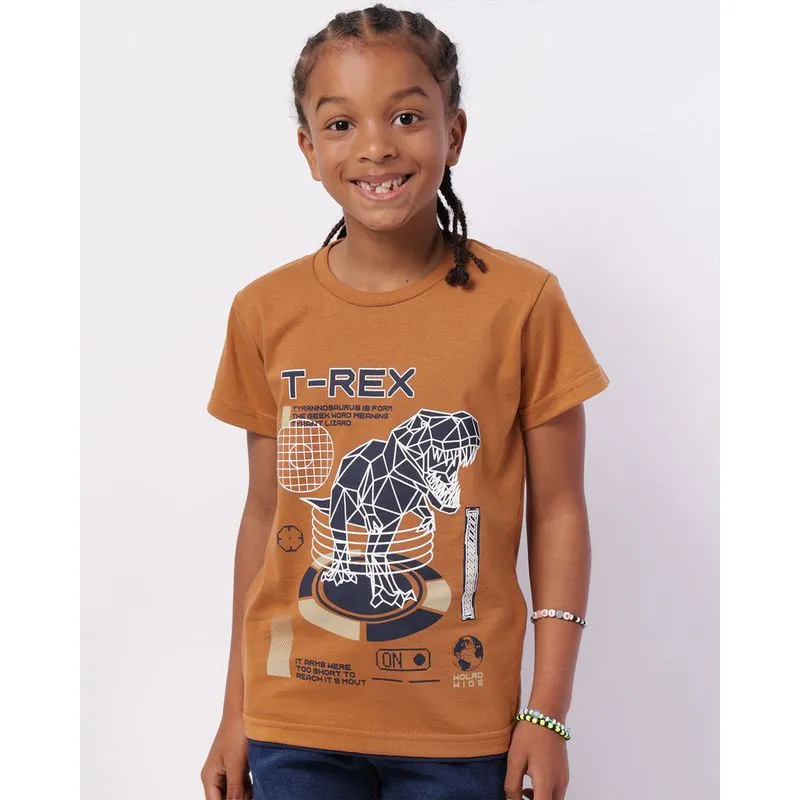 Camiseta Infantil Algodão com Estampa Dinossauro Marrom 4