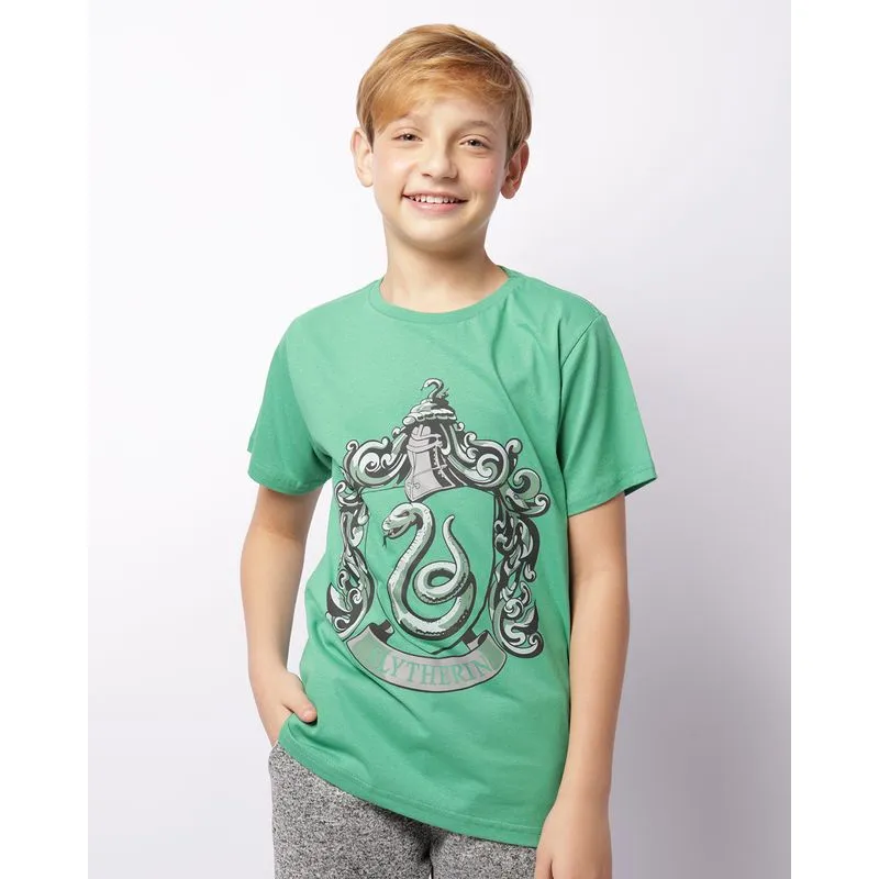 Camiseta Juvenil Warner Harry Potter Manga Curta Verde 12