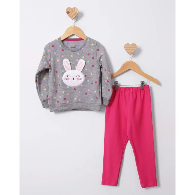 Conjunto Bebê Moletinho Estampado Com Bordado Cinza 2