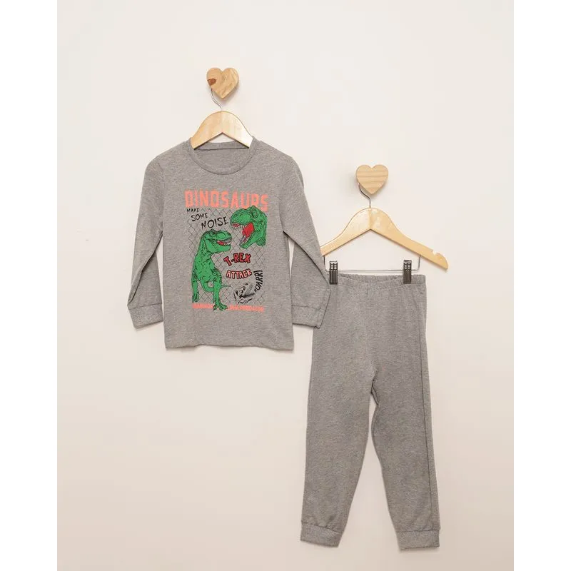 Pijama Bebê Estampa Dinossauro Manga Longa Cinza 3