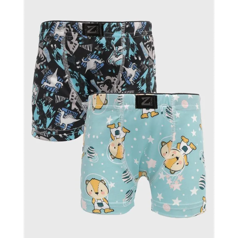 Kit 2 Cuecas Infantil Boxer Estampa E Cores Sortidas 6