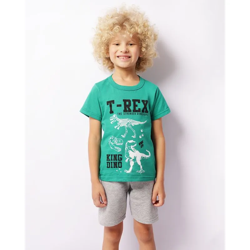 Conjunto Infantil Curto Estampa Dinossauro Manga Curta Verde 6
