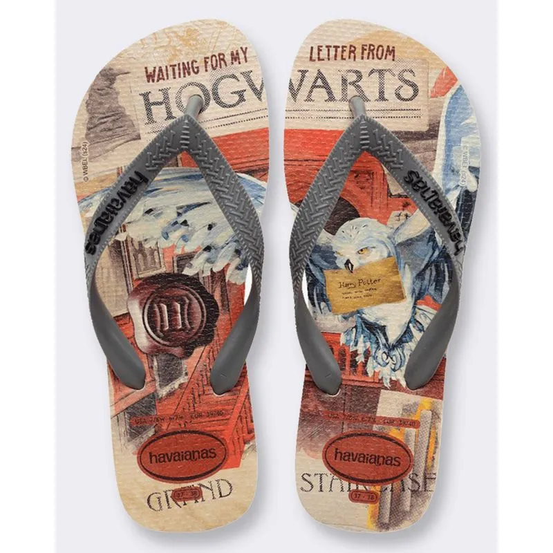 Chinelo Havaianas Masculino Warner Harry Potter Top Classics Bege 33/34