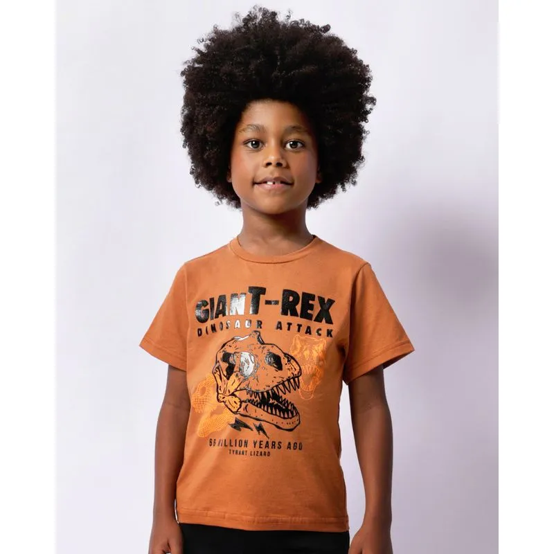 Camiseta Infantil Estampa Dinossauro Manga Curta Marrom 8