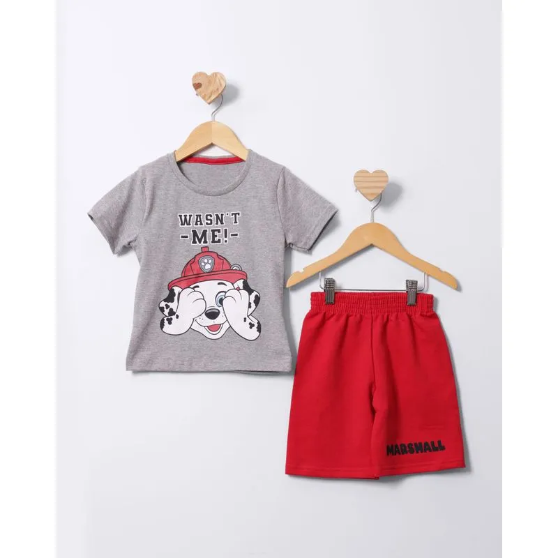 Conjunto Bebê Curto Patrulha Canina Marshall Cinza 2
