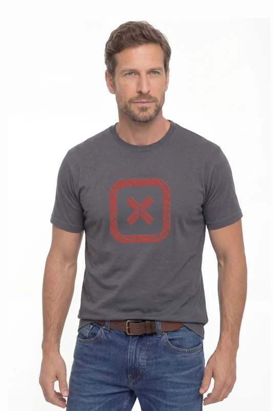 CAMISETA REGULAR FIO 30 PENTEADA 192605 GRAFITE / M