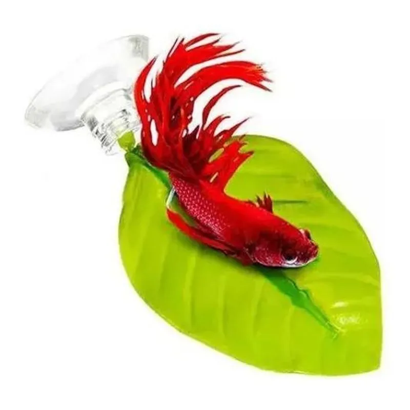 Folha De Descanso Para Peixe Betta - Cama Do Betta