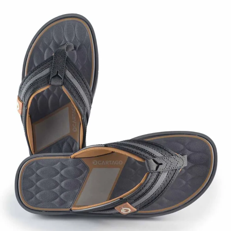 Chinelo Cartago Masculino Lyon 24 12399 BF655 CZA/PTO/CASTOR 43/44