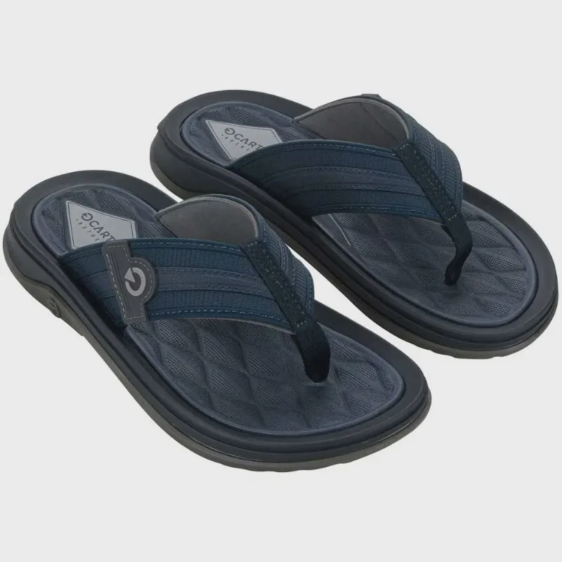 Chinelo Masculino Santorini vii Cinza Azul Cartago 12403-BJ571