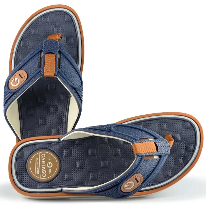 Chinelo Cartago Masculino Lyon 5 12531 BR737 BEGE/AZ/CASTOR 41 - IPANEMA