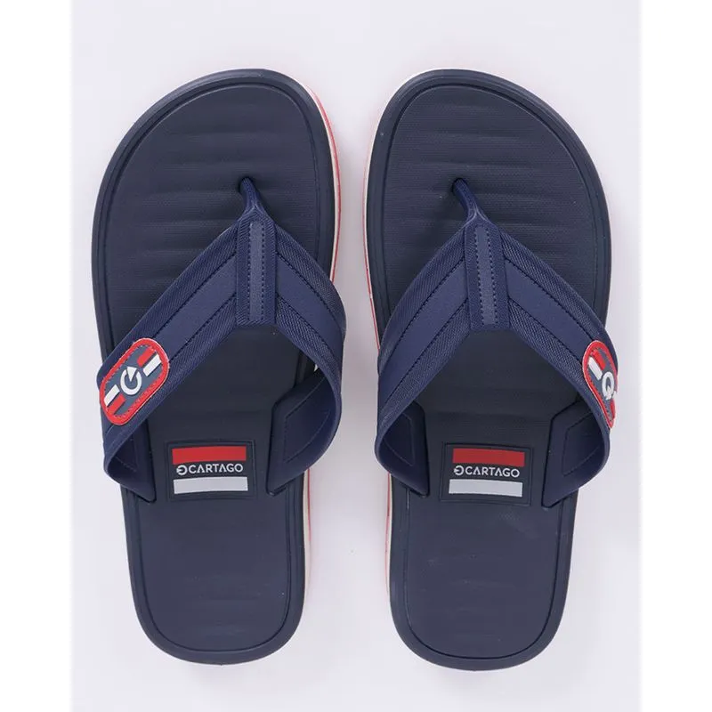 Chinelo Masculino Cartago Paris || Cinza 45