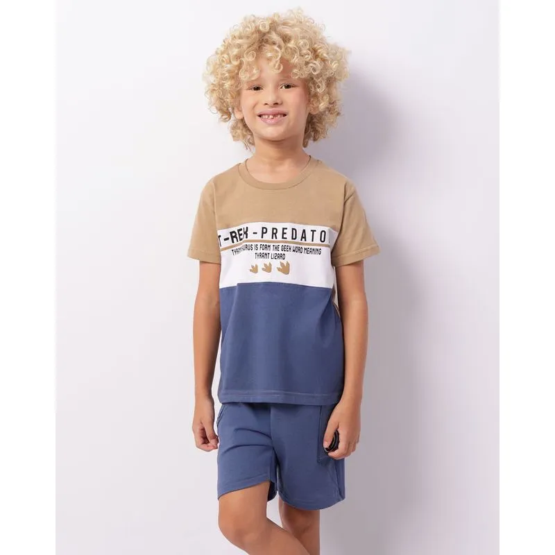 Conjunto Infantil Curto Estampado Azul 8