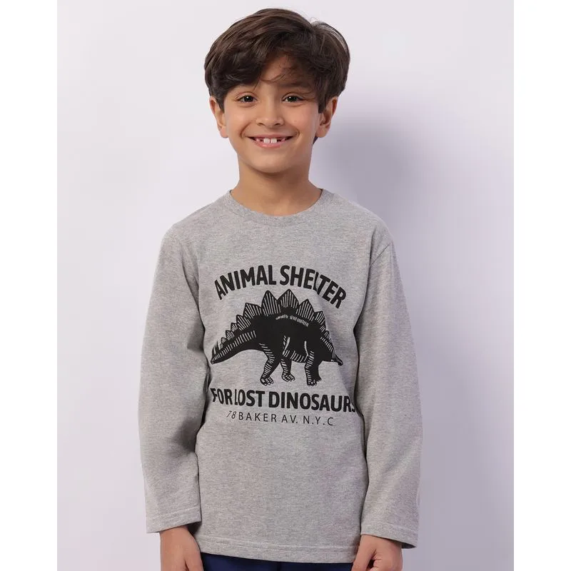 Camiseta Infantil Manga Longa Estampa Dinossauro Cinza 8