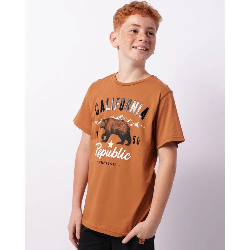 Camiseta Juvenil Manga Curta Estampada Marrom 12