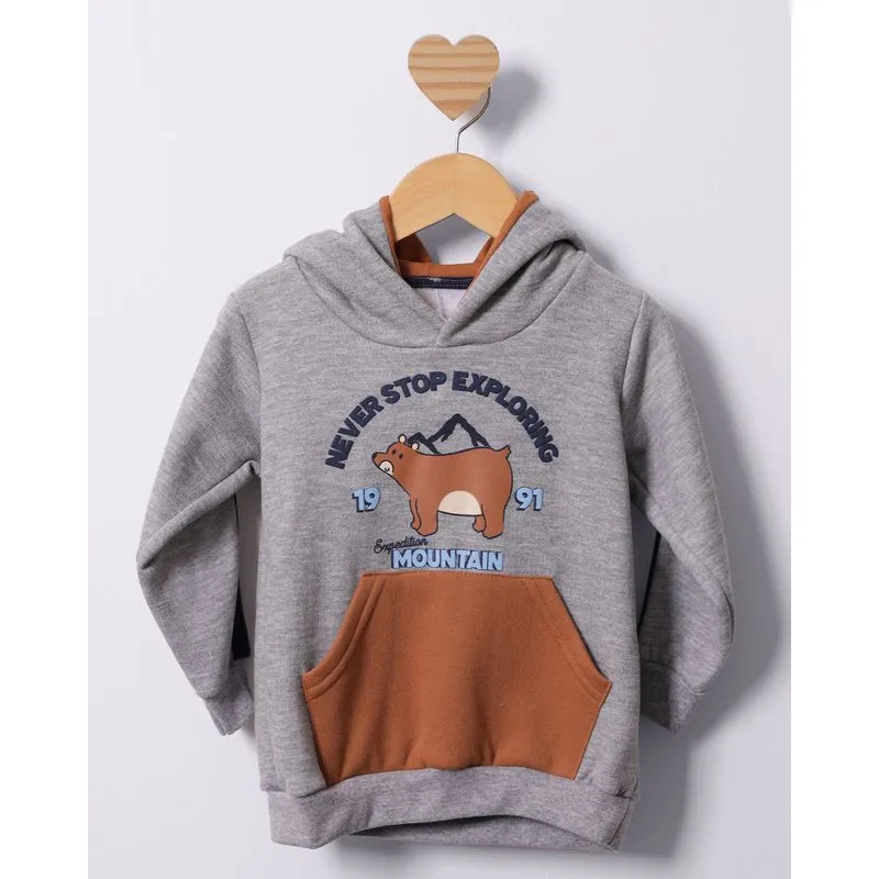Blusão Moletom Bebê com Capuz Estampa Urso Cinza 3