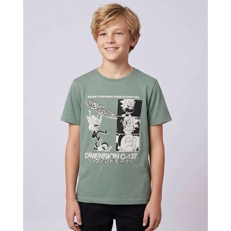 Camiseta Juvenil Algodão Estampa Rick and Morty Verde 16