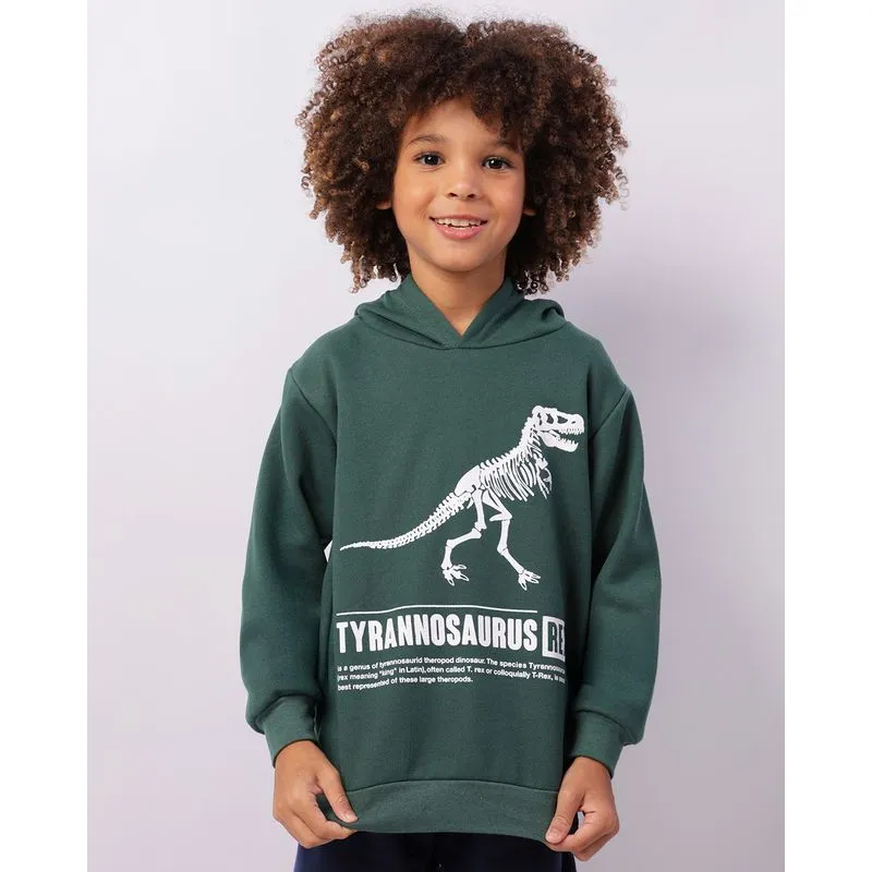 Blusão Moletom Infantil Com Capuz Estampa Dinossauro Verde 8