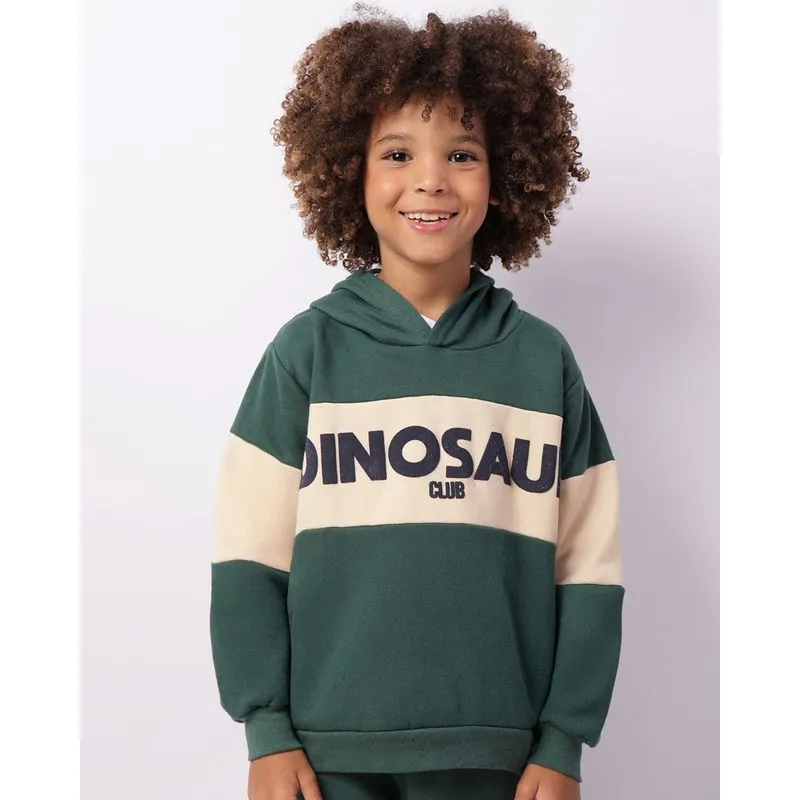 Blusão Moletom Infantil Dinossauro Com Capuz Verde 8