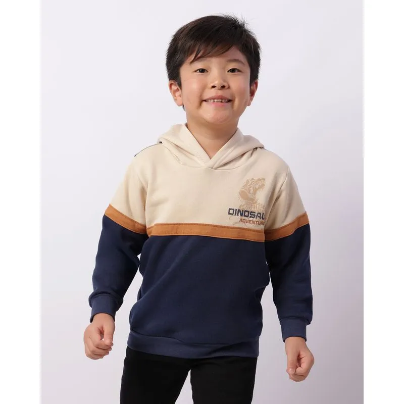 Blusão Moletom Infantil Capuz Recortes Estampa Dino Marinho 6