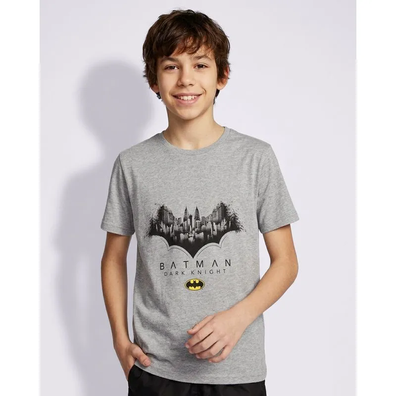 Camiseta Juvenil Estampa DC Comics Batman Cinza 10