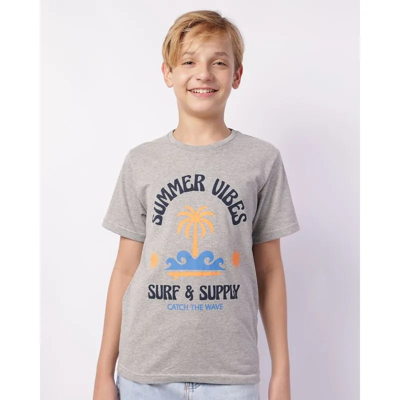 Camiseta Juvenil Estampa Summer Vibes Manga Curta Cinza 16
